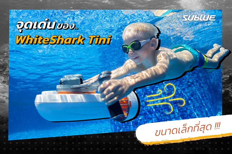 5 จุดเด่นของสกู๊ตเตอร์ดำน้ำ SUBLUE WHITESHARK TINI